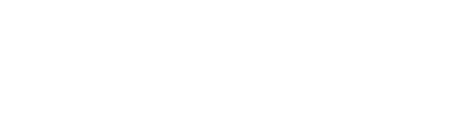Agile Logo White